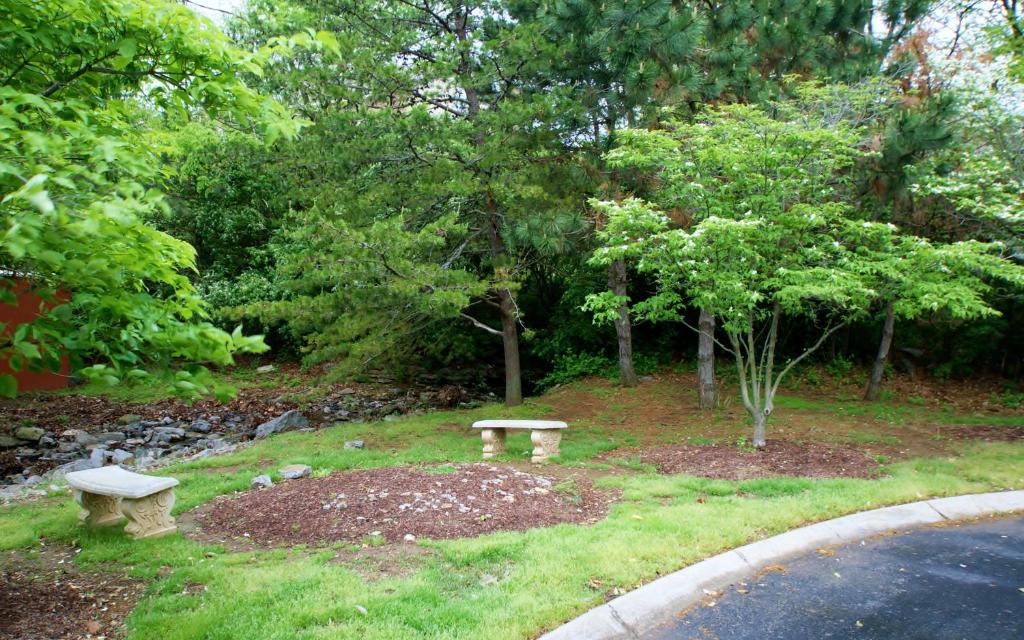 Landscaped outdoor area